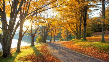 Hoffler Creek Wildlife Preserve
