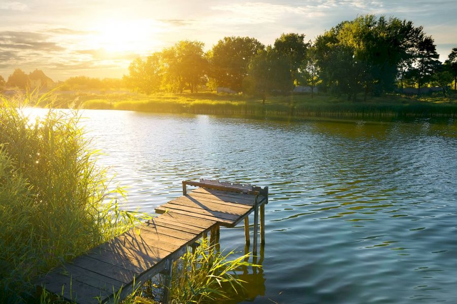 Attain at Harbour View luxury apartments with Old wooden dock by a calm lake at sunset with trees and grasses along the shoreline.